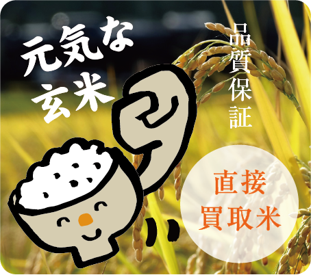 元気な玄米