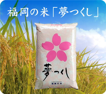 福岡産「夢つくし」